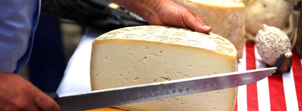 Día del Queso de Roncal 2022 - Erronkariko Gazta Eguna