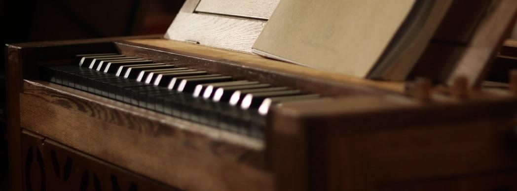 Concierto de órgano: Organistas ragueses