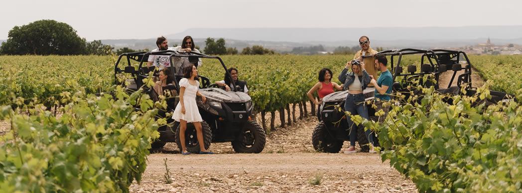 Paseo en buggy + Visita a bodega + Cata de vino