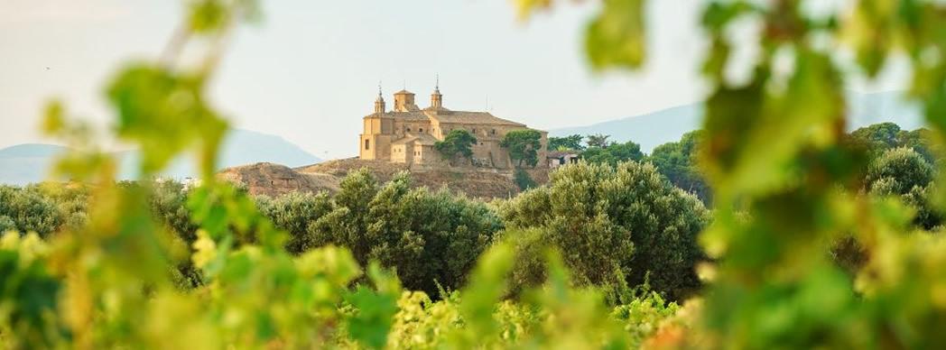 Visitas guiadas y cata de vino en Bodegas Malón de Echaide