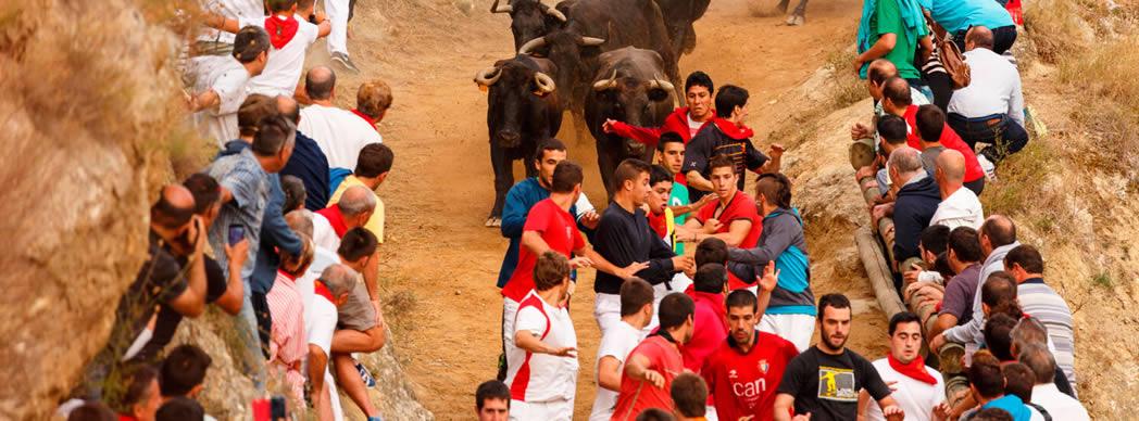 Fiestas en Navarra 2024