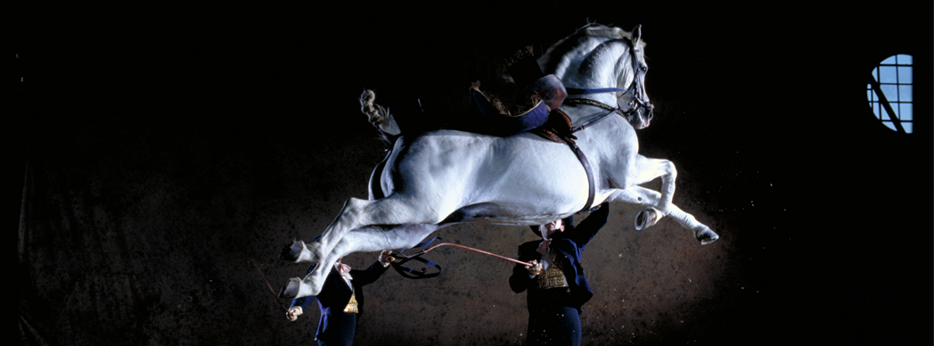 Cómo bailan los caballos andaluces