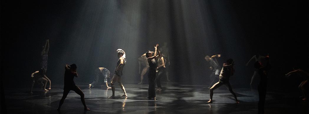 Danza en Navarra