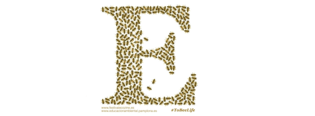 Festival ECOZINE, Festival Internacional de Cine y Medio Ambiente