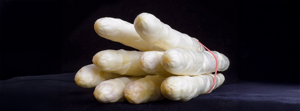 Feria del Espárrago en Dicastillo 2026