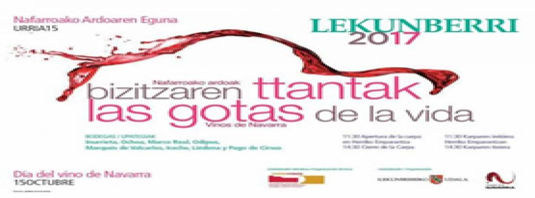 Día del vino de Navarra en Lekunberri 2017