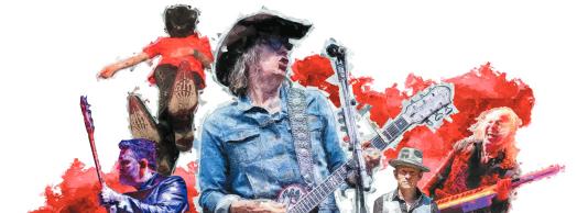 Conciertos en Navarra