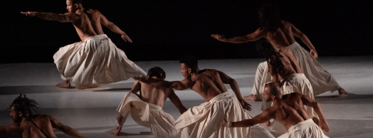 Ce que le jour doit a la nuit. Cie Hervé koubi