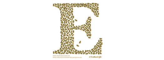 Festival ECOZINE, Festival Internacional de Cine y Medio Ambiente