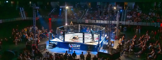 Velada MMA en Navarra Arena