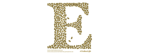 Festival ECOZINE, Festival Internacional de Cine y Medio Ambiente