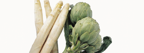 turismoriberanavarra.com